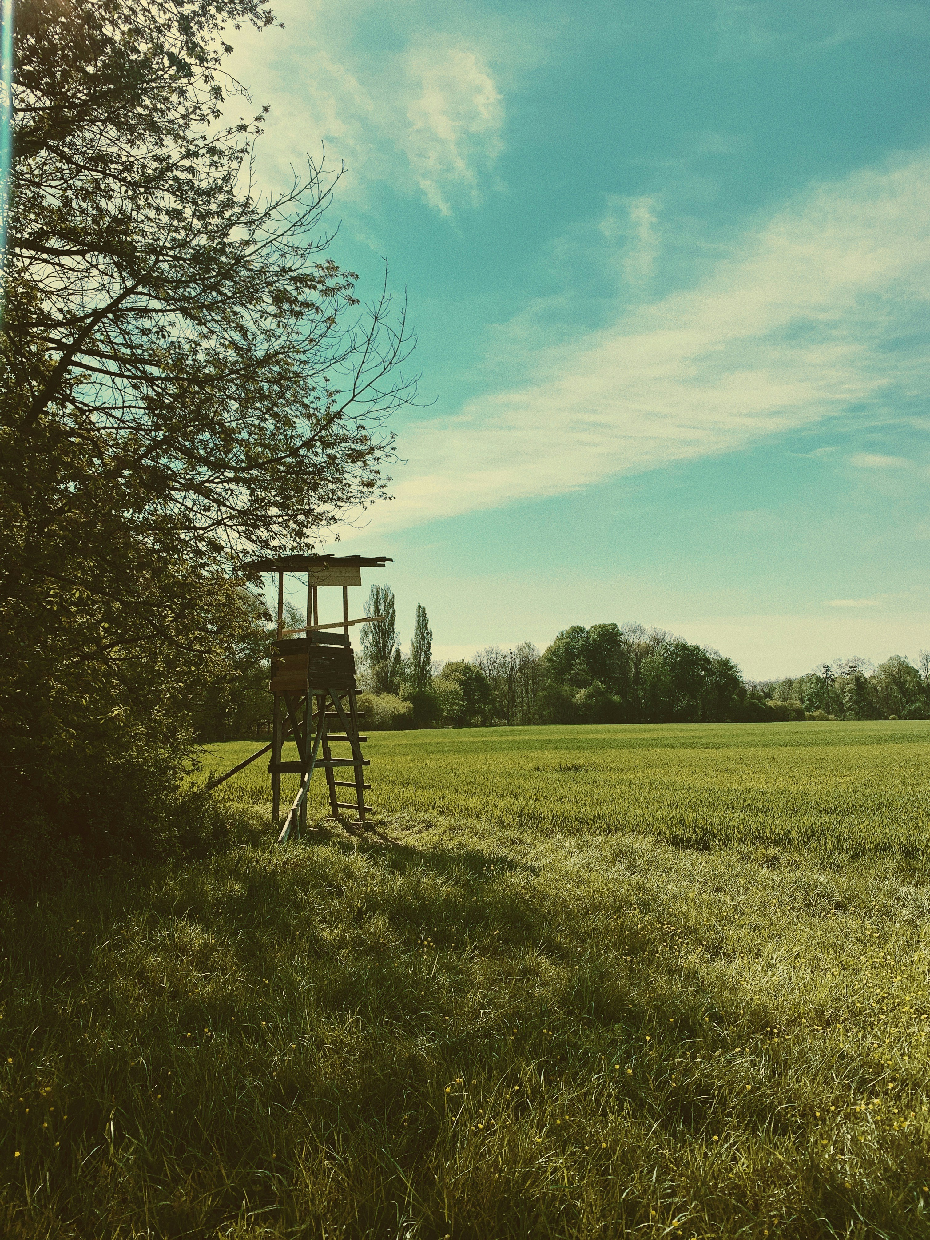 Driftless Land